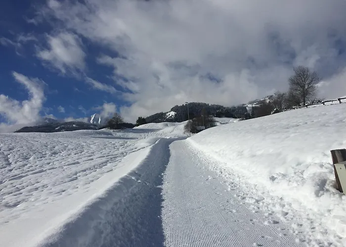 Haus Christina 公寓 费斯