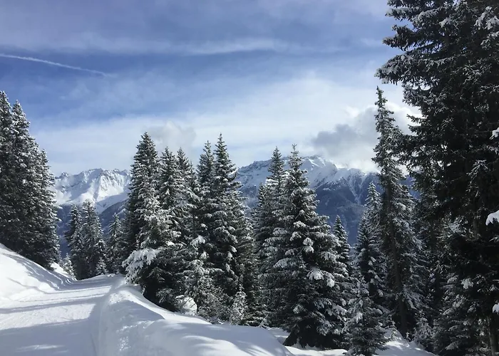 公寓 Haus Christina 费斯